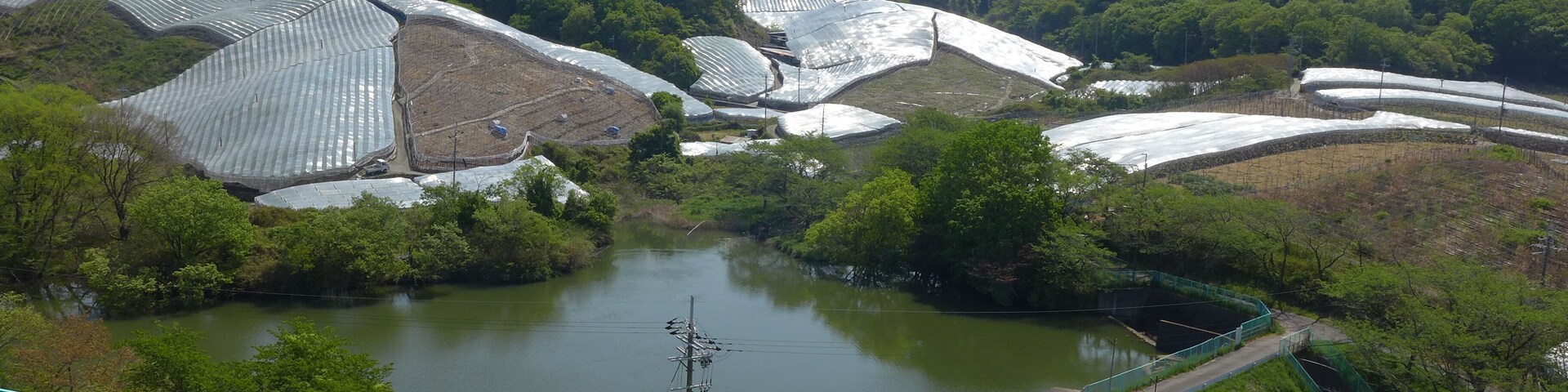 A landscape with a pond, green fields, and solar panels on hills.