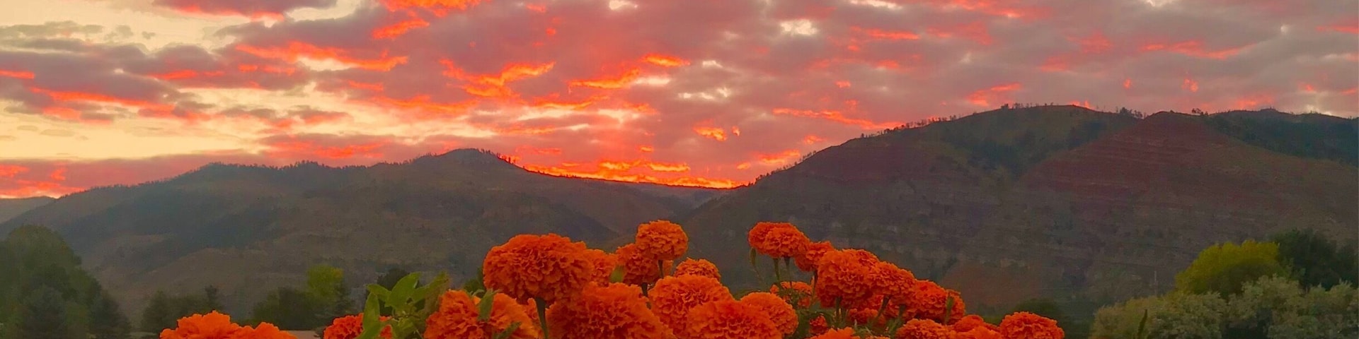 The Hermosa area of the Animas Valley north of Durango CO was badly hit by wildfires this summer followed by rains that caused mudslides. Many local organic farms are located here. Out of the summer we are now in a beautiful period of fall colors. The last of the summer’s organic flowers are about to fade. Sunrise on Monday morning shows the beautiful recovery of this valley. #golden