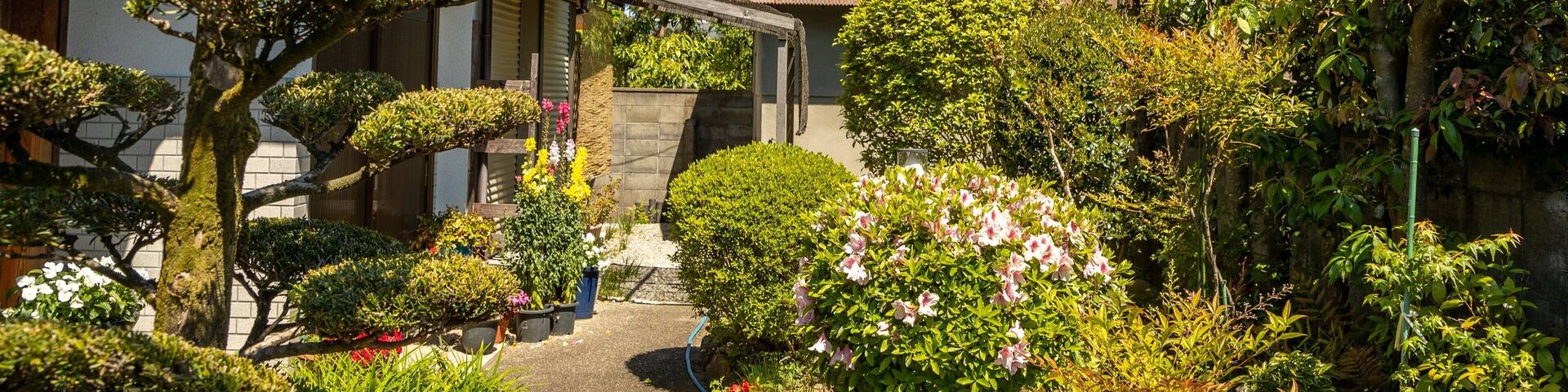 Ikaruga which includes a garden and wildflowers