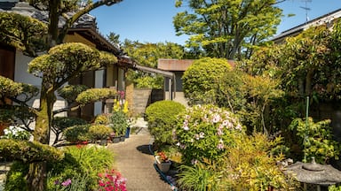 Ikaruga which includes a garden and wildflowers