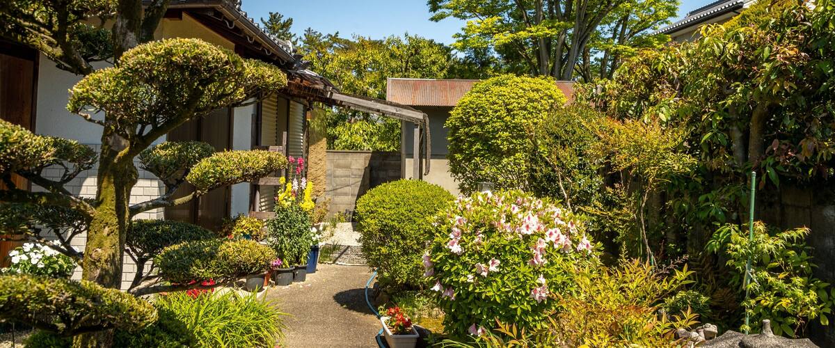 A traditional Japanese garden with a stone lantern, bonsai trees, and flowering plants.