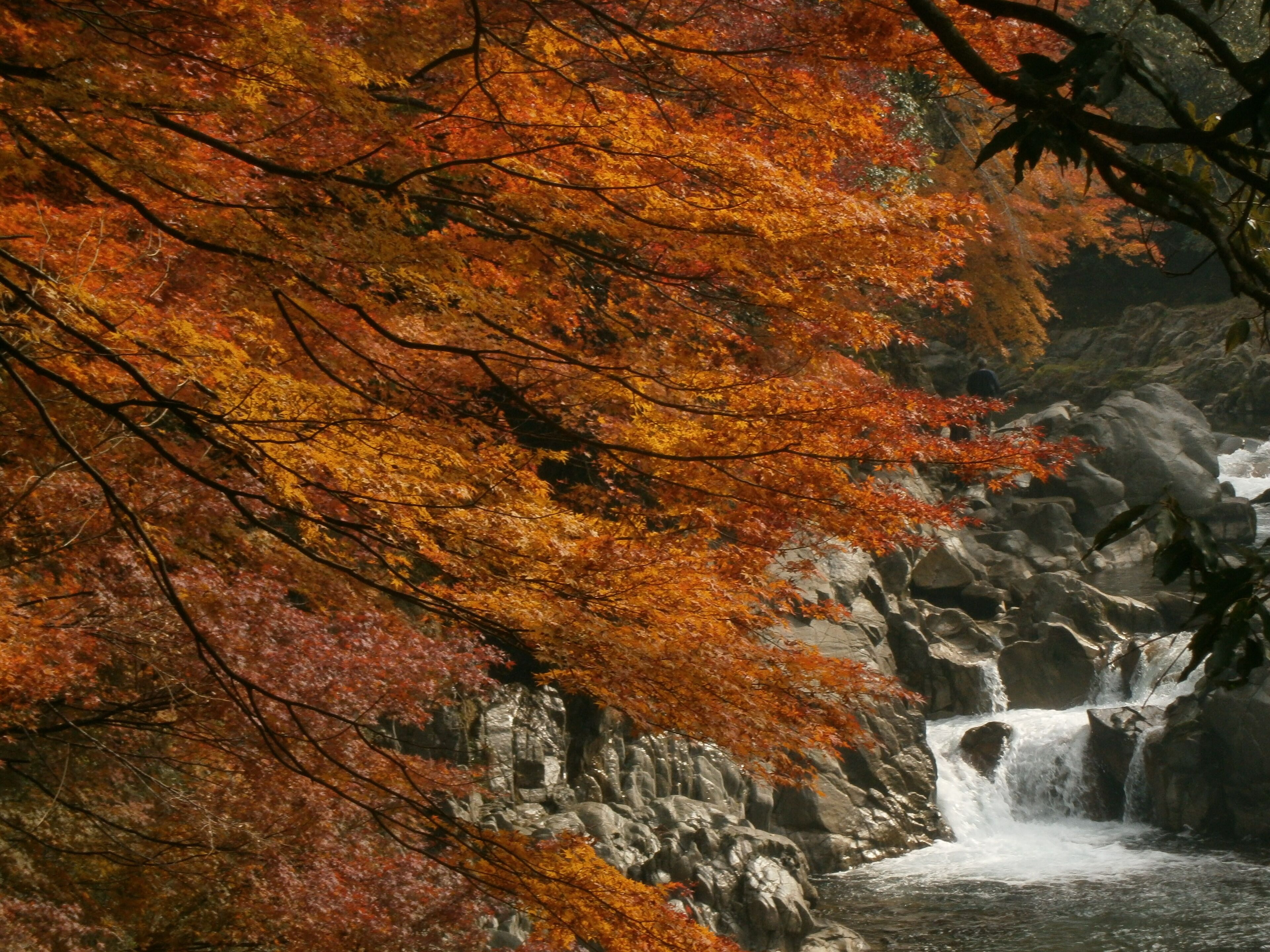 A waterfall surrounded by autumn foliage.