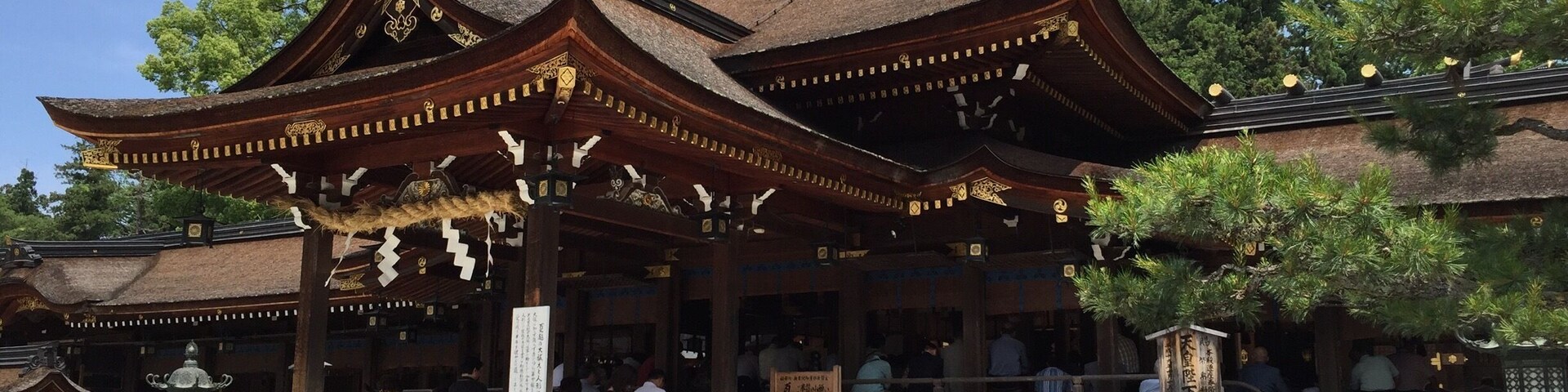 平日はすいてます