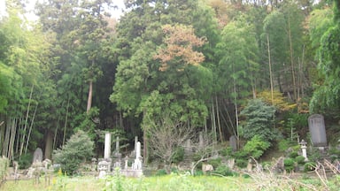 Bamboo Graves
