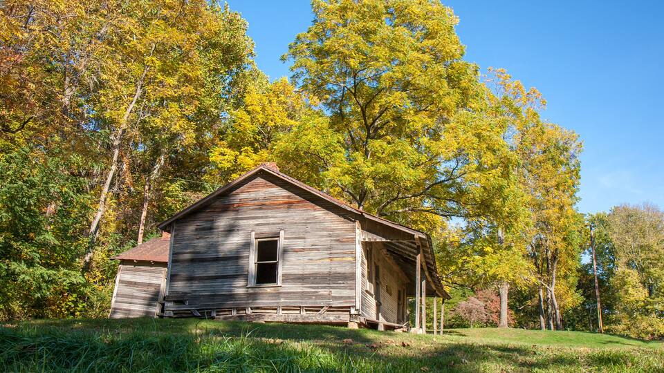 An old wooden cabin surrounded by lush green grass and trees with autumn foliage.