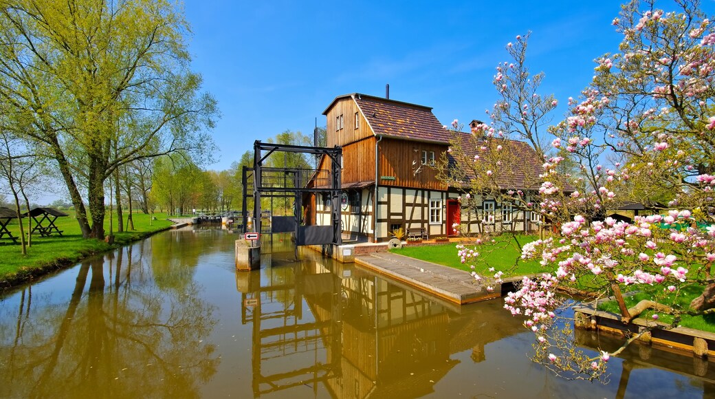 Radduscher Buschmuehle im Spreewald im Fruehling - Raddusch Mill, Spree Forest in spring