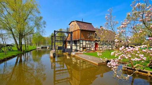 Unterspreewald