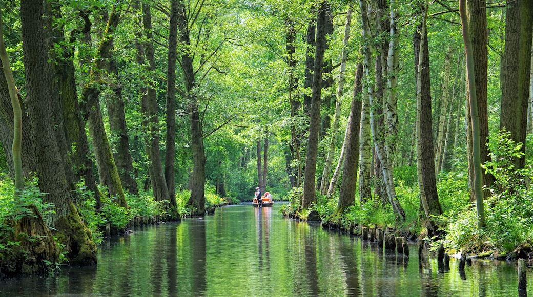 Spreewald Hochwald - Spree Forest landscape in Brandenburg