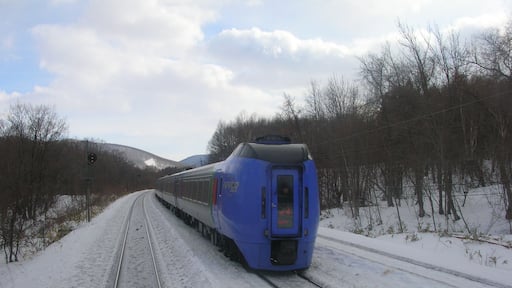 FURICO(The limited express)