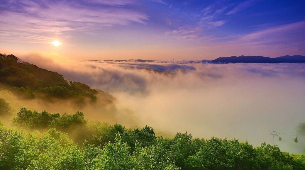 The morning sea-like cloud with sunrise at the peak of Tomamu