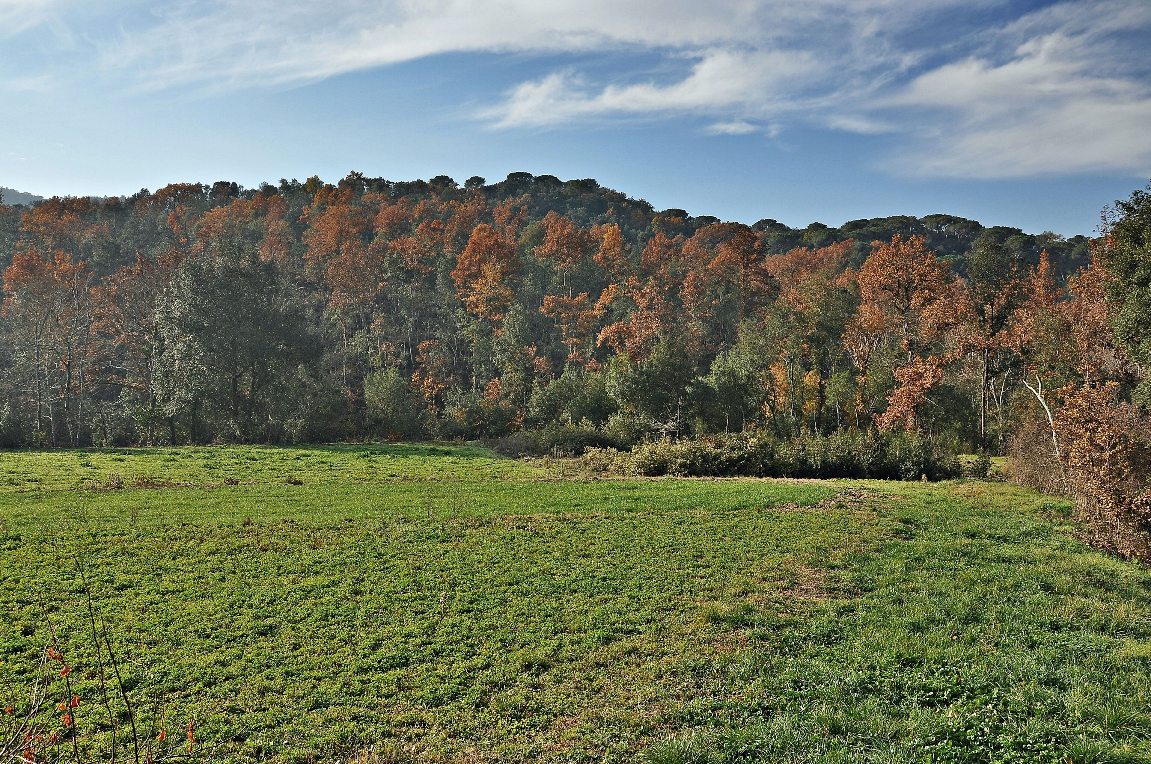 Vallgorguina-Valles Oriental