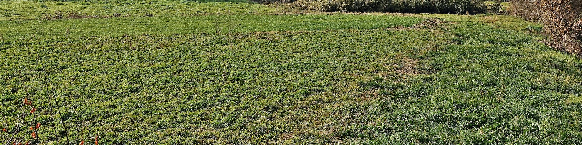 Vallgorguina-Valles Oriental