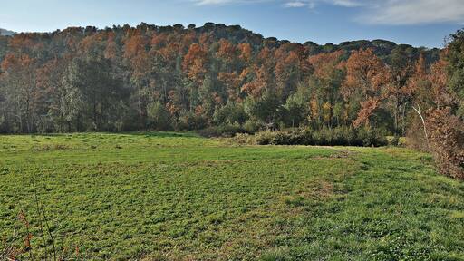 Vallgorguina-Valles Oriental