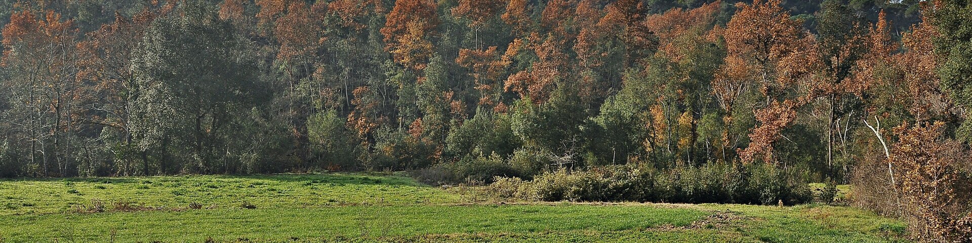Vallgorguina-Valles Oriental