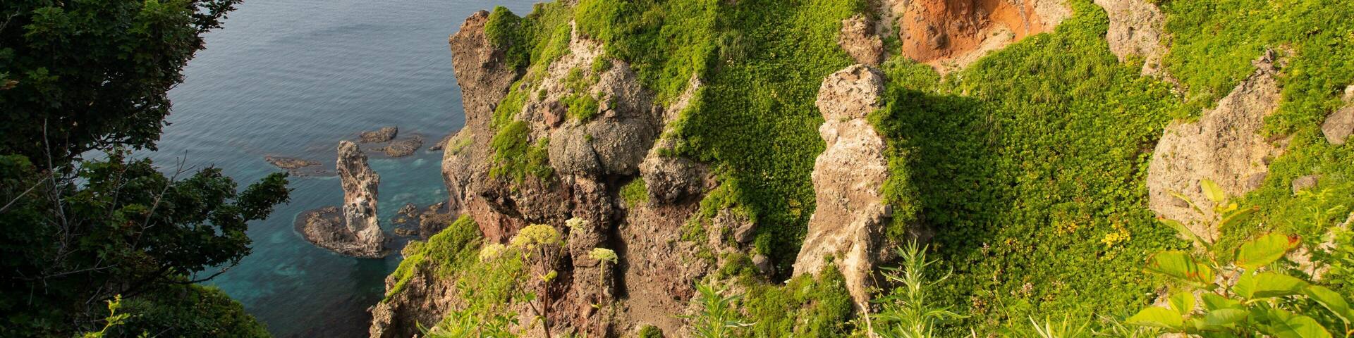 Shakotan featuring general coastal views and rocky coastline