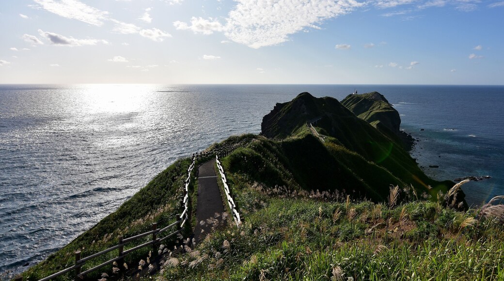 Cape Kamui , Hokkaido , Japan