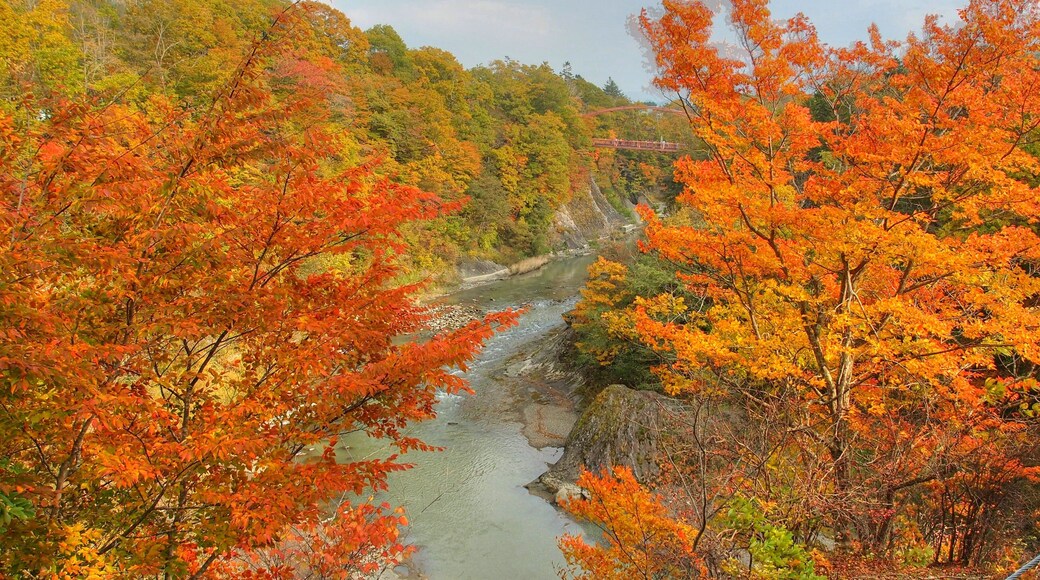 æ»ăźäžć
ŹćïŒTakinoue parkïŒ