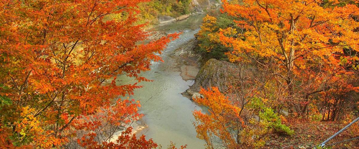 A river flowing through a forest with autumn-colored trees.