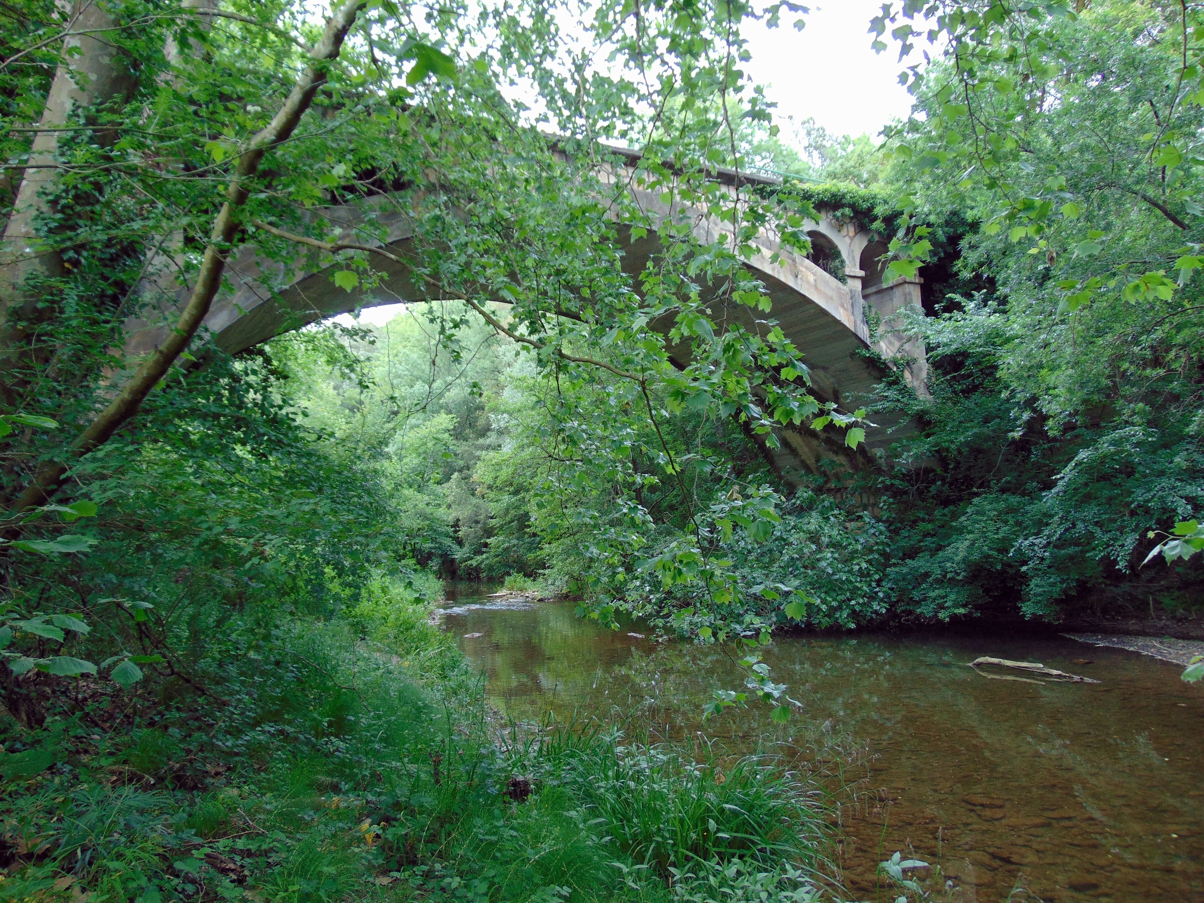 Pont sobre el Riu Ser (Serinyà)