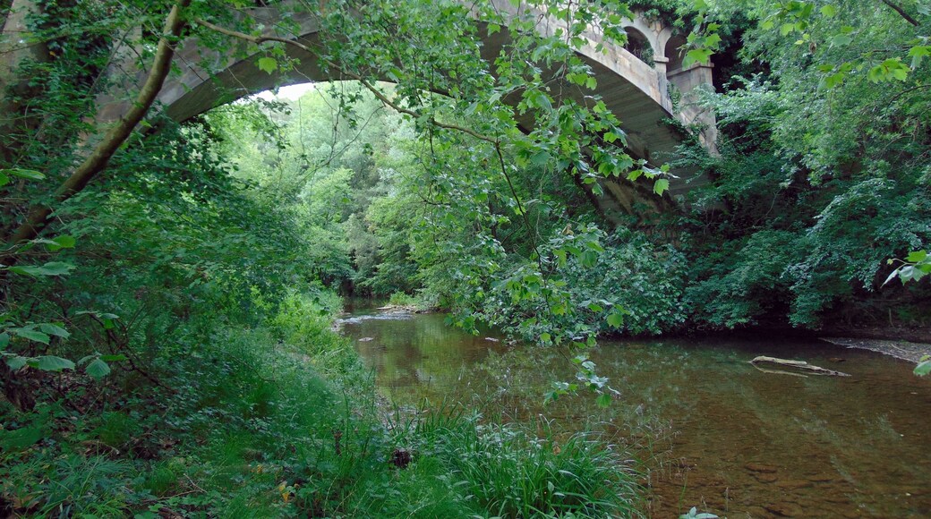 Pont sobre el Riu Ser (Serinyà)