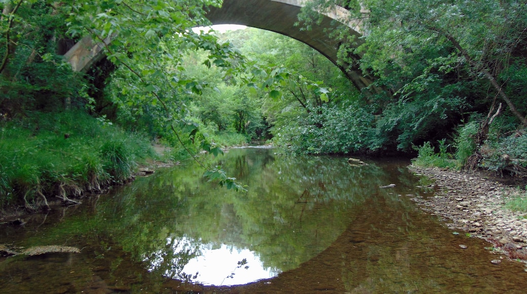 Pont sobre el Riu Ser (Serinyà)