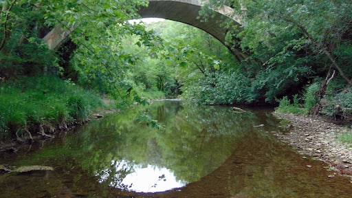 Pont sobre el Riu Ser (Serinyà)