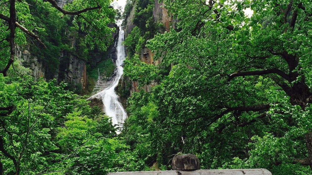 Une cascade située dans une zone boisée, avec un panneau indiquant « GIN GA NO TAKI ».
