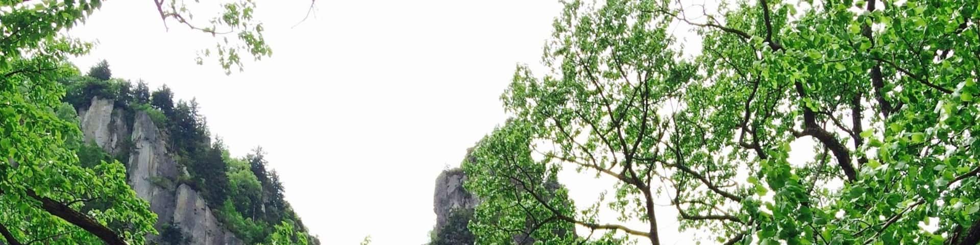 Waterfalls at Sounkyo Gorge in Hokkaido, Japan. Beautiful in the summer, they totally freeze up in winter.