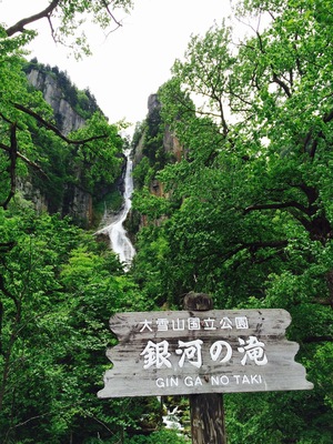 Waterfalls at Sounkyo Gorge in Hokkaido, Japan. Beautiful in the summer, they totally freeze up in winter.