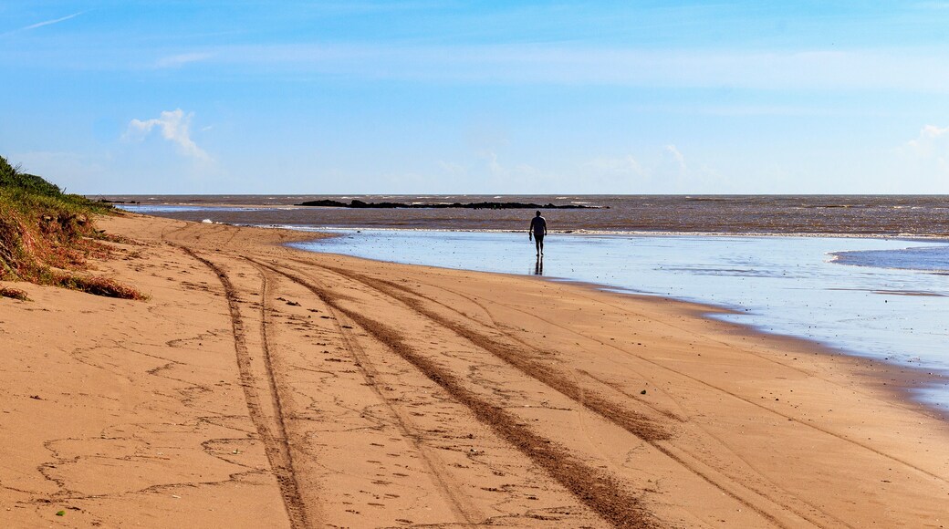 聖弗朗西斯科迪伊塔巴波阿納