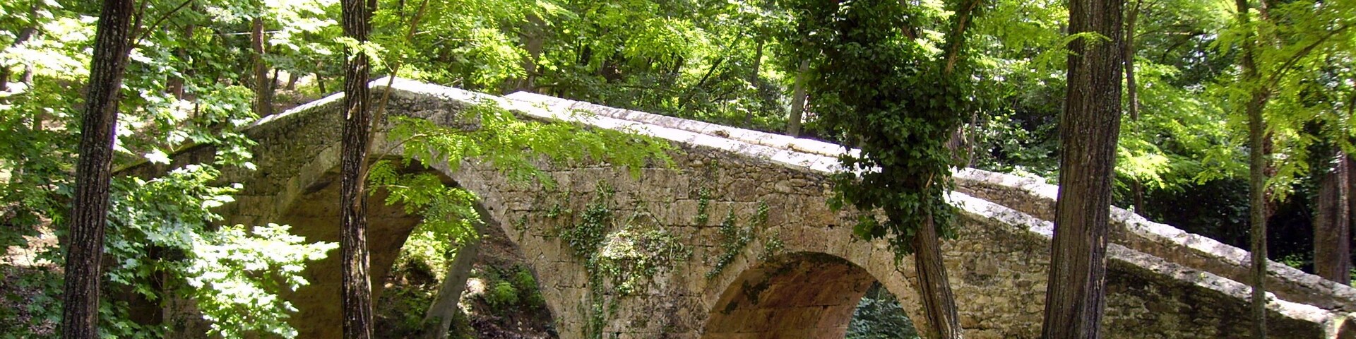 Pont medieval (Sant Miquel de Campmajor)