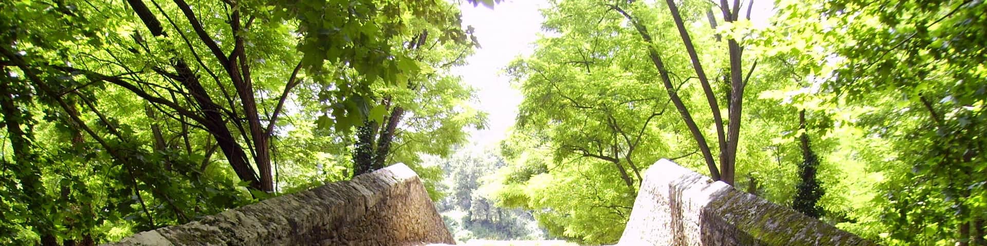 Pont medieval (Sant Miquel de Campmajor)