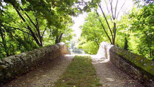Pont medieval (Sant Miquel de Campmajor)