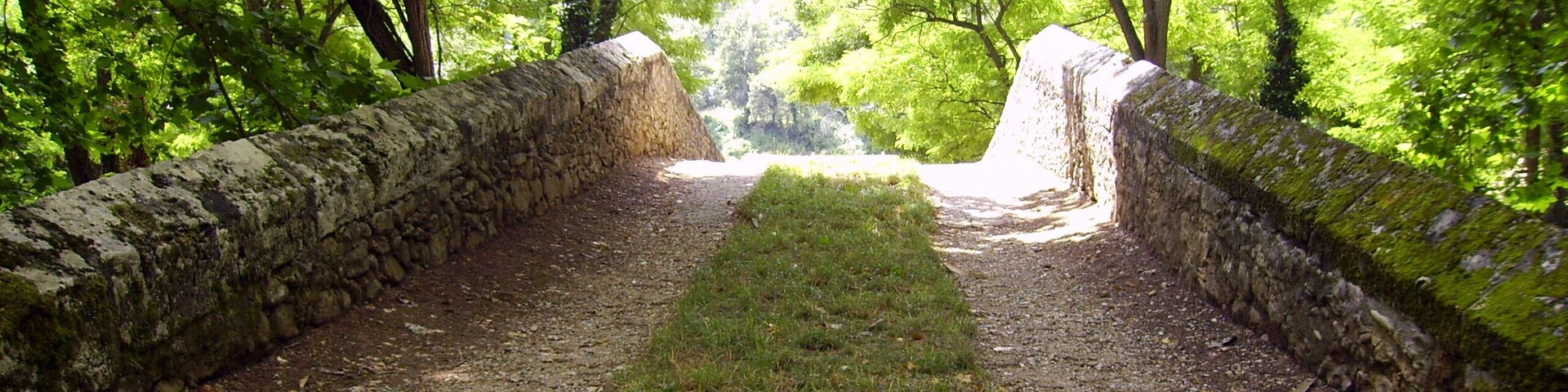 Pont medieval (Sant Miquel de Campmajor)