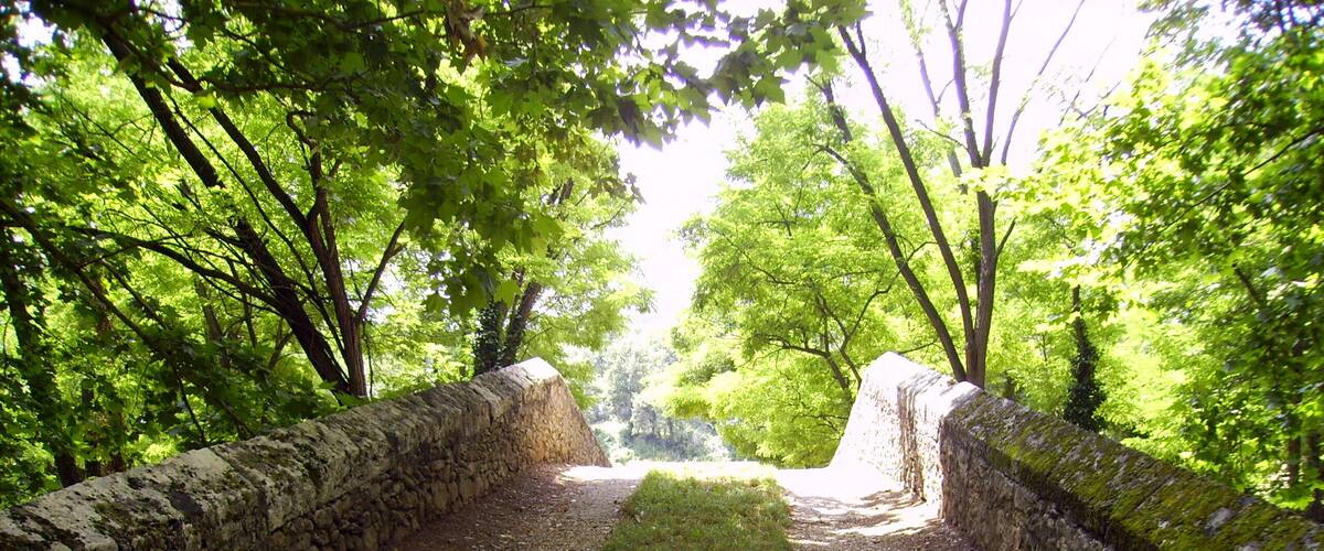 A stone pathway flanked by stone walls, leading through a wooded area with green foliage.