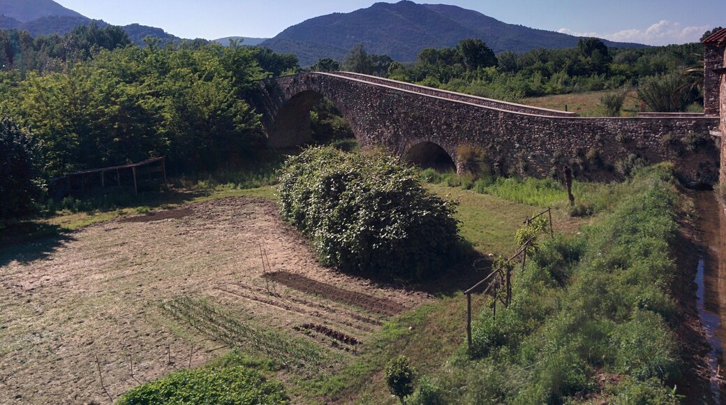 Pont Vell (Sant Julià del Llor i Bonmatí)