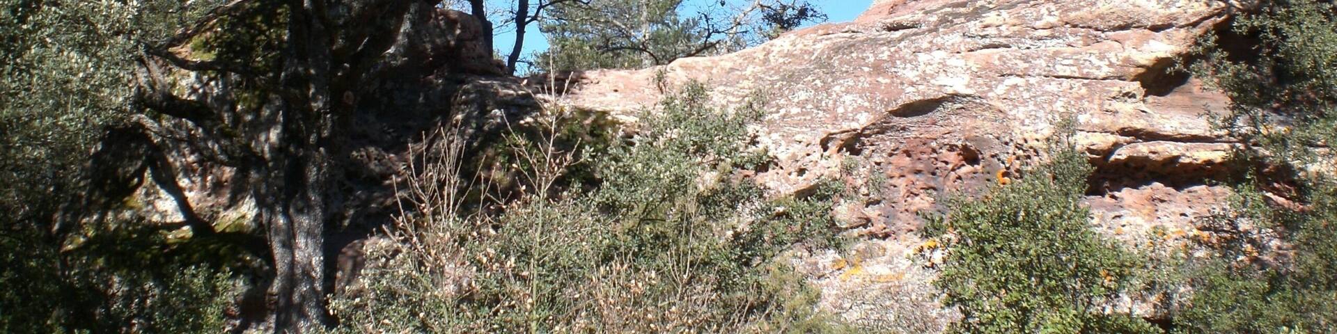 Roca Foradada, Prades (març 2008)