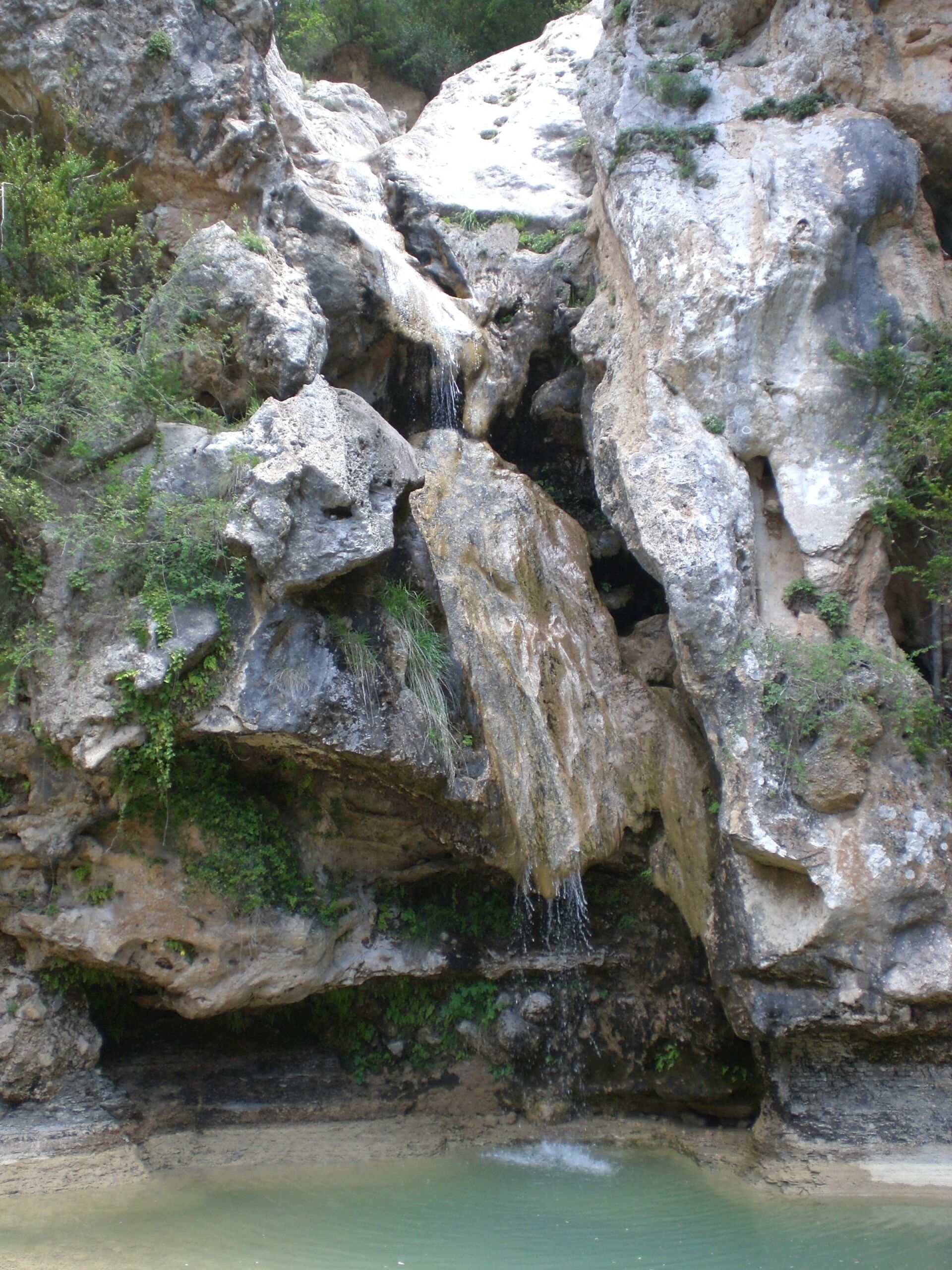 Gorg al Riu del Gorg, La Febró (juny 2012)