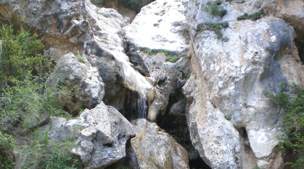 Gorg al Riu del Gorg, La FebrĂł (juny 2012)