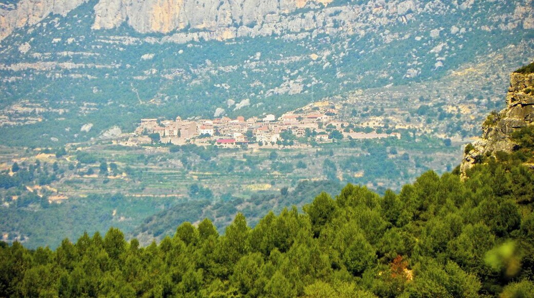 La morera de Montsant, des de la carretera d'Arbolรญ, a 10km