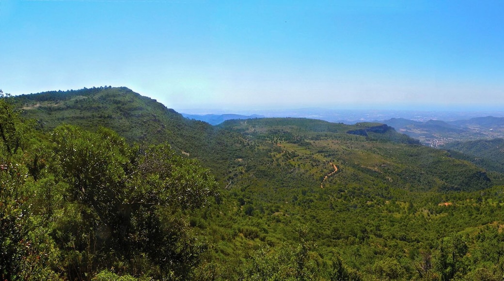 Panorama des del cingle, 3km a l'oest de la Musara