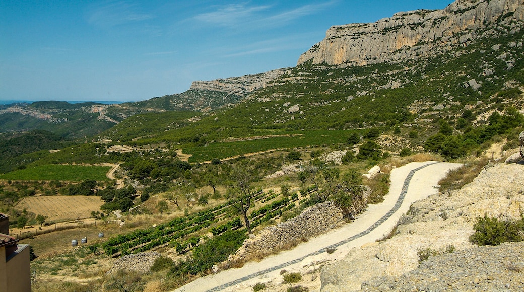 La Morera de Montsant