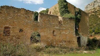 Sant Antoni de Montalt (la Morera de Montsant)