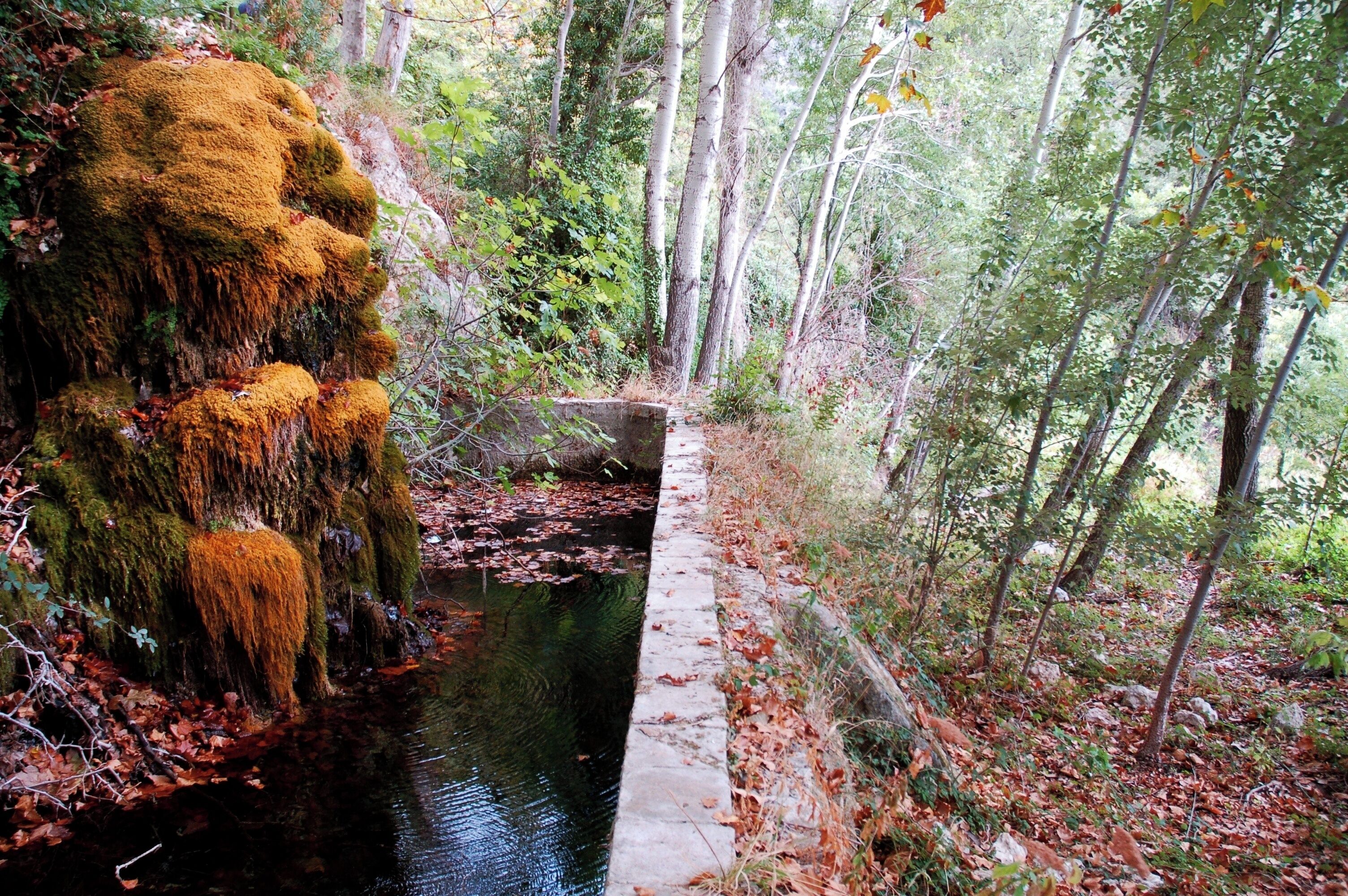 La Pietat (la Morera de Montsant)