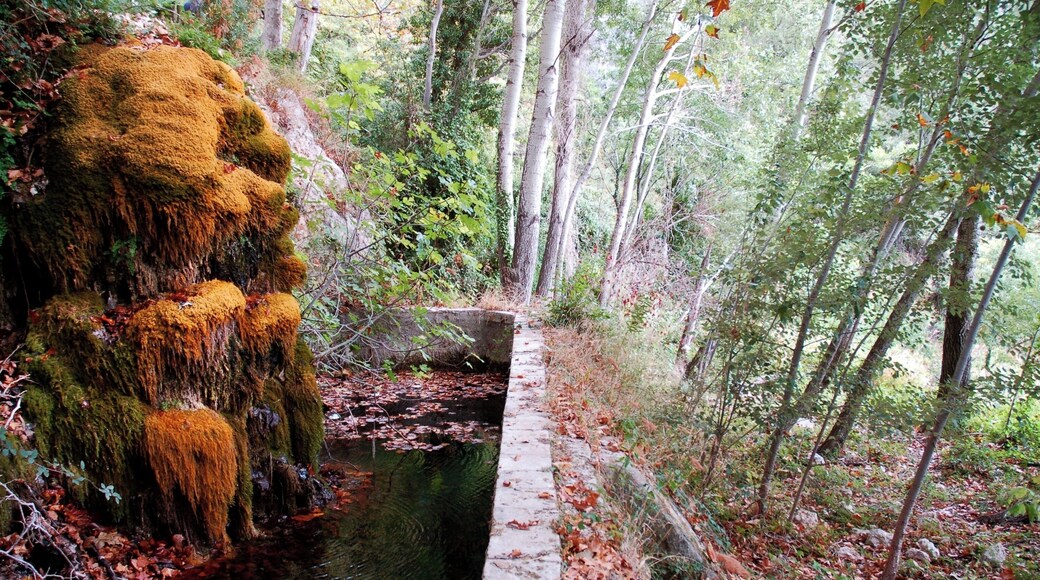 La Pietat (la Morera de Montsant)