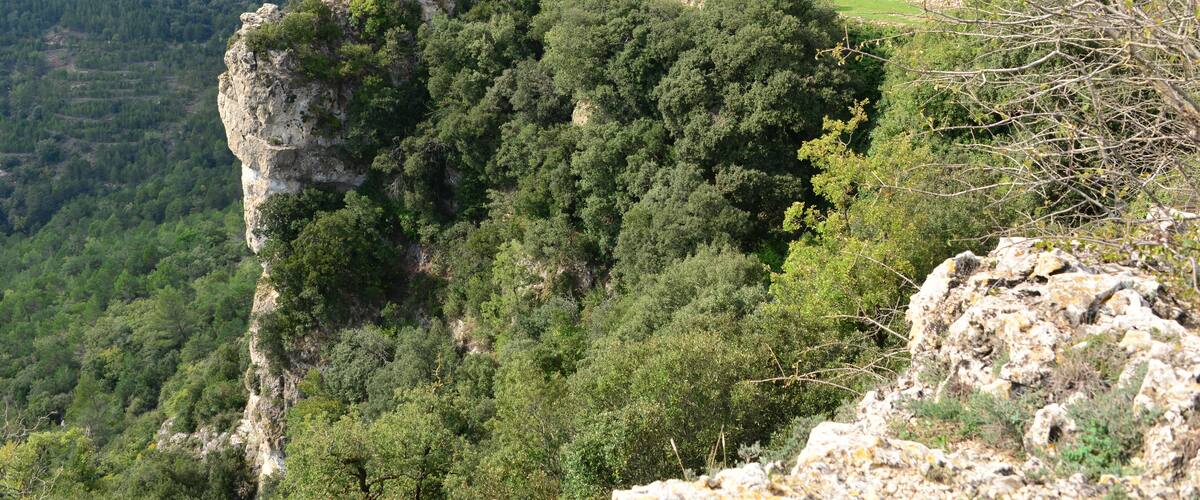 Vilaplana, 43380, Tarragona, Spain