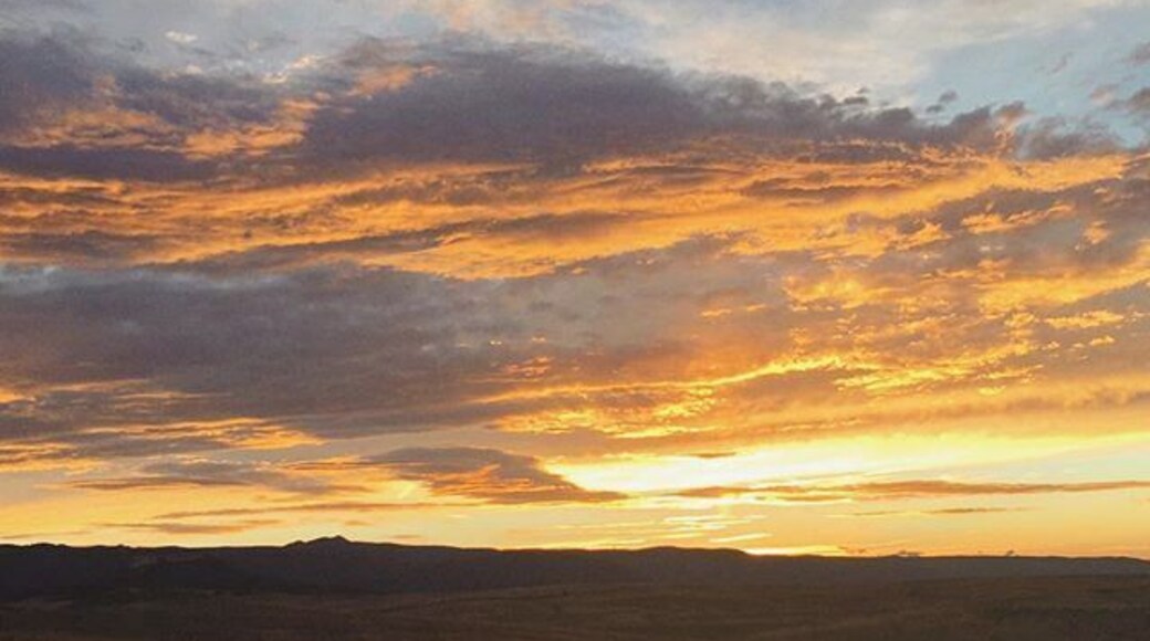 Pretty #epic #golden #colorado #sunset I caught on the way to Colorado Springs tonight