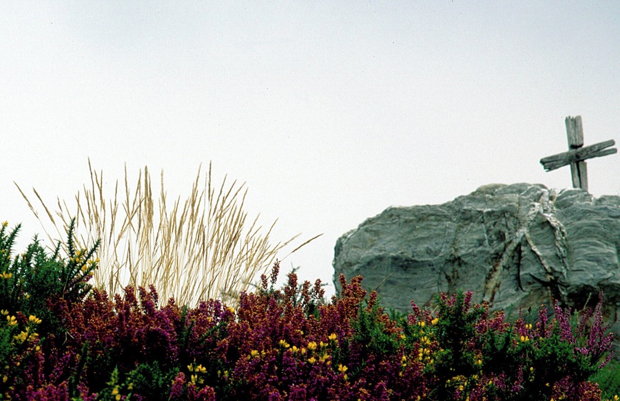Una cruz sobre una roca, flores silvestres y hierbas altas.