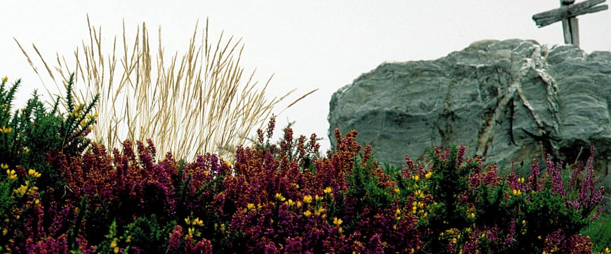 A cross on a rock, wildflowers, and tall grasses.