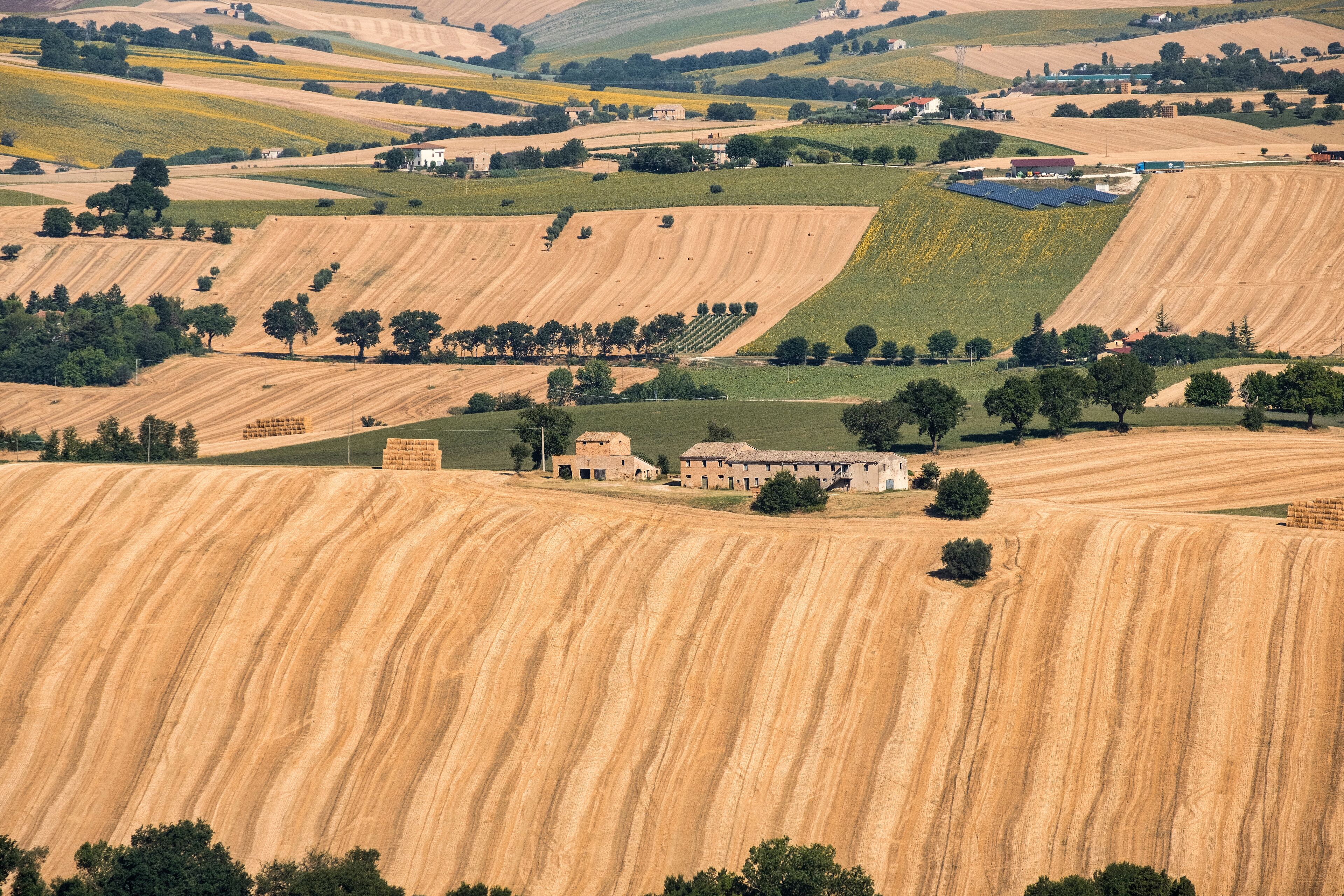 Summer landscape in Marches (Italy) near Filottrano